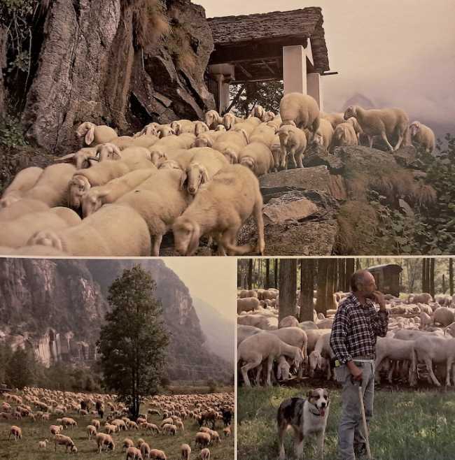 20250914 213107 copia