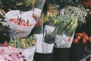 Borgomanero, "Fiorilia – Floral Market": appuntamento l'11 aprile